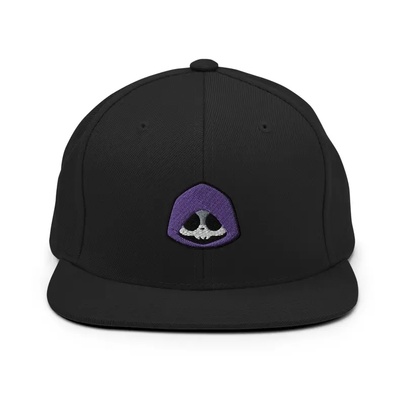 Next Gen Snapback Hat